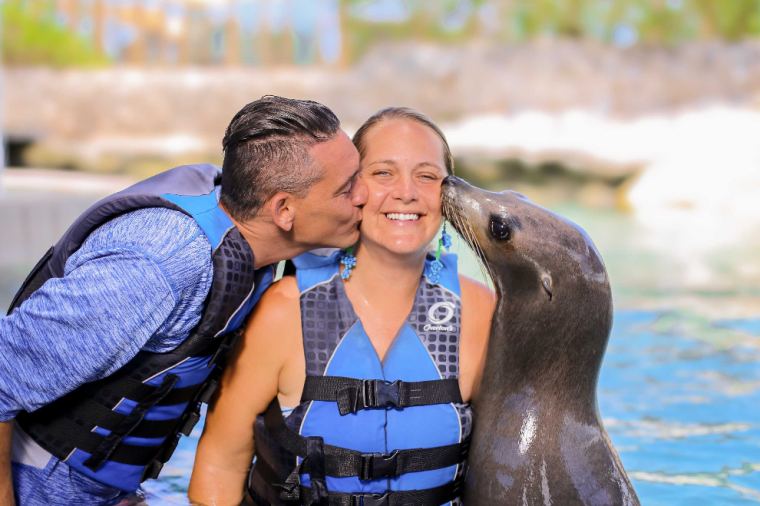 Sea Lion Encounter